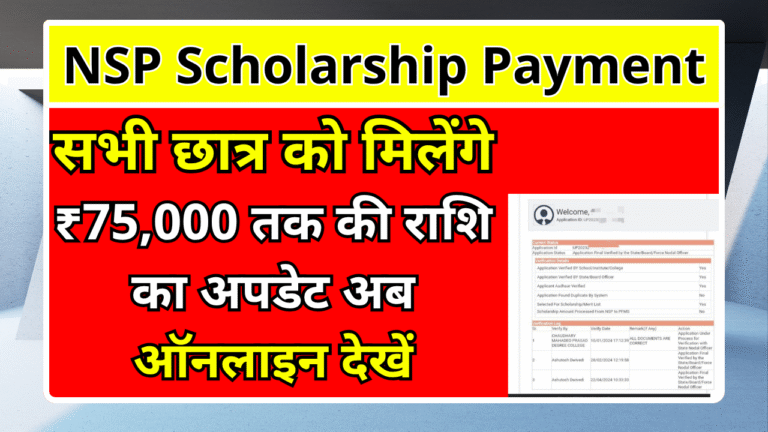 NSP Scholarship Payment